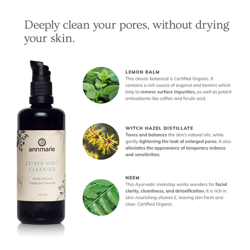 Annmarie Skin Care Citrus Mint Cleanser (100ml)- Collective HIDDEN White Smoke