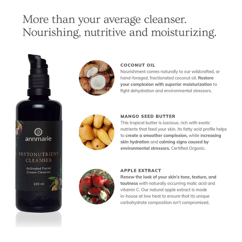 Annmarie Skin Care Phytonutrient Cleanser - Activated Facial Cream Cleanser (100ml)- Collective HIDDEN White Smoke