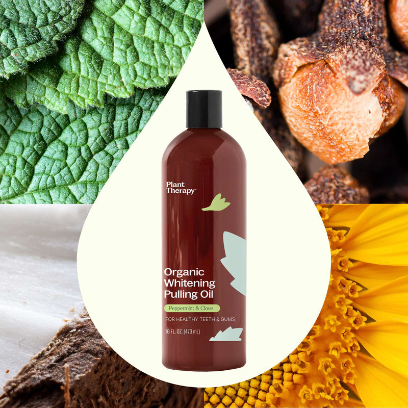 Plant Therapy Organic Whitening Pulling Oil Supplement Dark Slate Gray 8oz,16oz