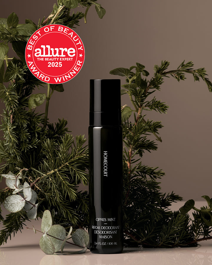 Homecourt Room Deodorant Room Deodorant Dim Gray Cece,Neroli Leaf,Steeped Rose,Mandarin Basile,Balsam Fireplace