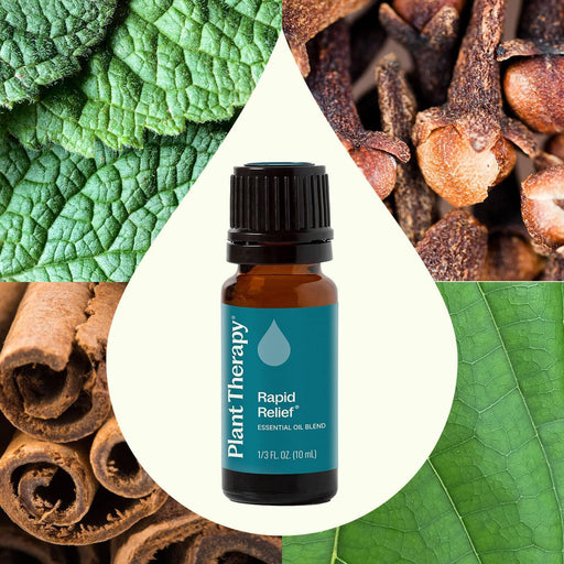 Plant Therapy Rapid Relief Essential Oil Blend Essential Oil Seashell 10 mL,30 mL