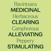 Plant Therapy Ravintsara Essential Oil Essential Oil Khaki 10 mL,30 mL
