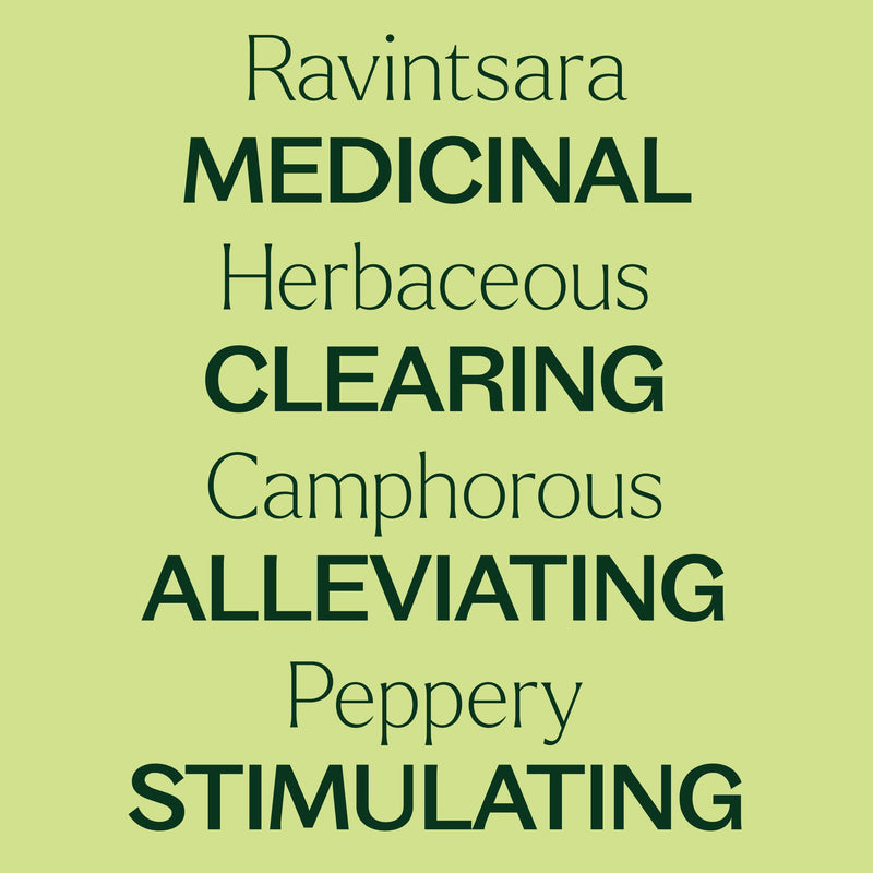Plant Therapy Ravintsara Essential Oil Essential Oil Khaki 10 mL,30 mL