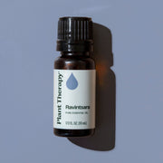 Plant Therapy Ravintsara Essential Oil Essential Oil Dark Slate Gray 10 mL,30 mL
