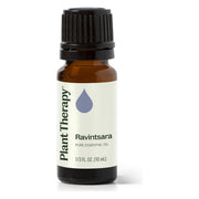 Plant Therapy Ravintsara Essential Oil Essential Oil White Smoke 10 mL