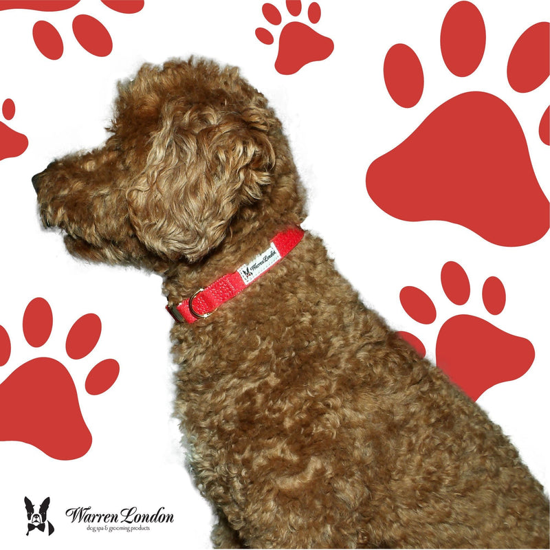 Warren London Fabric Dog Collar - Red Leashes, Collars & Accessories White Smoke Small (10"-14"),Medium (13"-19"),Large (16"-26")