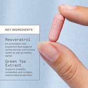 AMMD Resveratrol Supplement Light Steel Blue