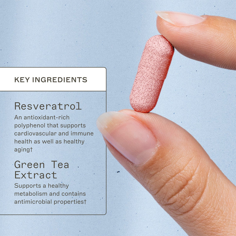 AMMD Resveratrol Supplement Light Steel Blue
