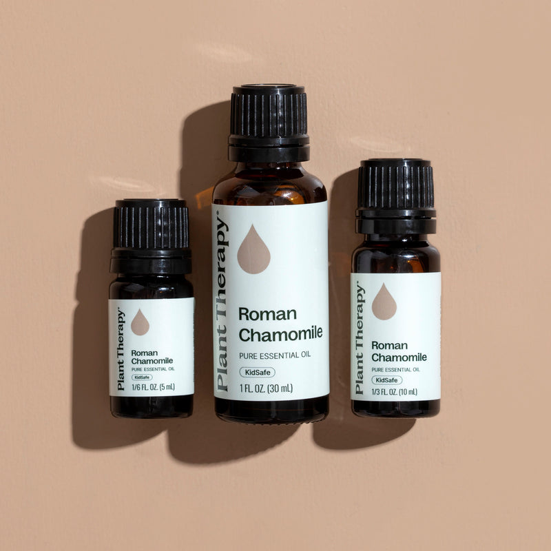 Plant Therapy Roman Chamomile Essential Oil Essential Oil Tan 5 mL,10 mL,30 mL