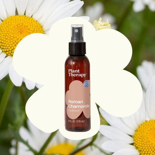 Plant Therapy Roman Chamomile Hydrosol Body Care Seashell 4 oz
