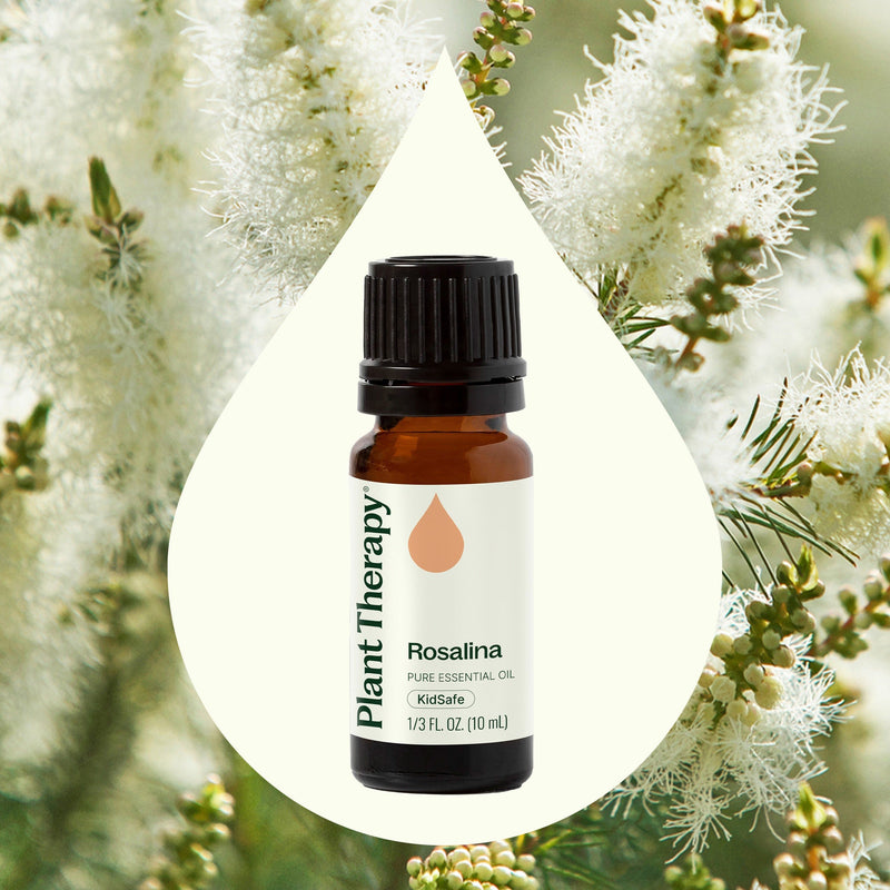 Plant Therapy Rosalina Essential Oil Essential Oil Light Gray 10 mL,30 mL