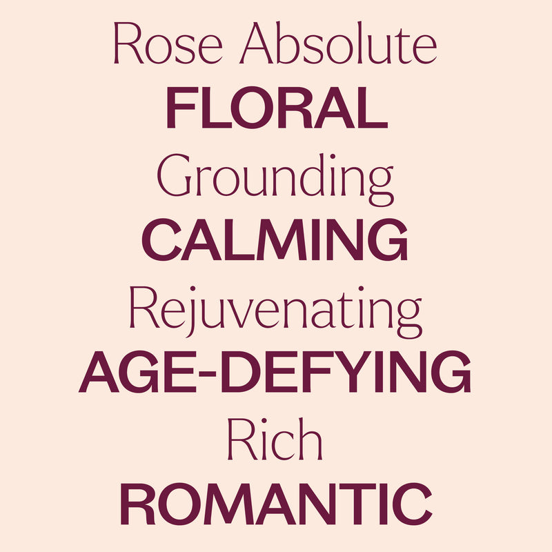 Plant Therapy Rose Absolute Pre-Diluted Roll-On Essential Oil Antique White 10 mL