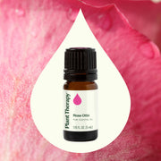 Plant Therapy Rose Otto Essential Oil Essential Oil Seashell 5 mL