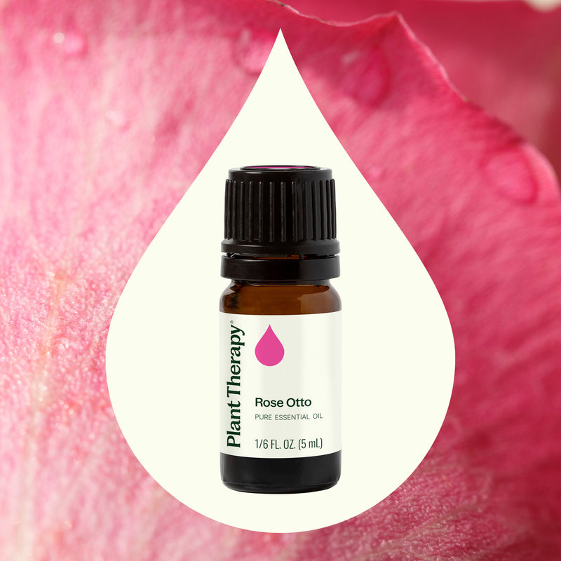 Plant Therapy Rose Otto Essential Oil Essential Oil Seashell 5 mL