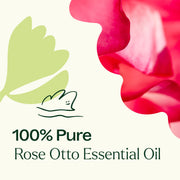 Plant Therapy Rose Otto Essential Oil Essential Oil Seashell 5 mL
