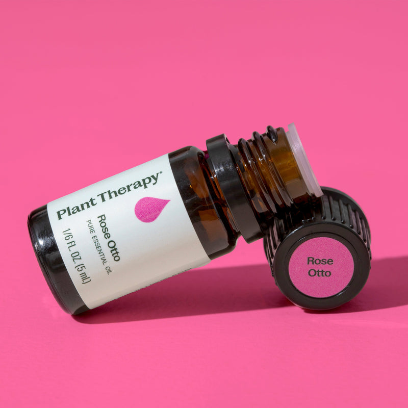 Plant Therapy Rose Otto Essential Oil Essential Oil Hot Pink 5 mL