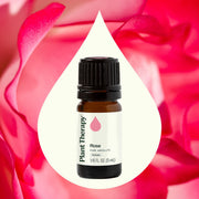 Plant Therapy Rose Pure Absolute Essential Oil Essential Oil Seashell 5 mL,10 mL