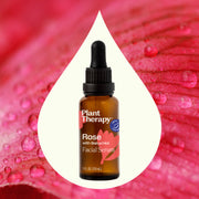 Plant Therapy Rose with Bakuchiol Facial Serum Hair & Skin Care Seashell 1 oz