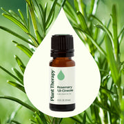 Plant Therapy Rosemary 1,8-Cineole Essential Oil Essential Oil Seashell 10mL,30 mL,100 mL