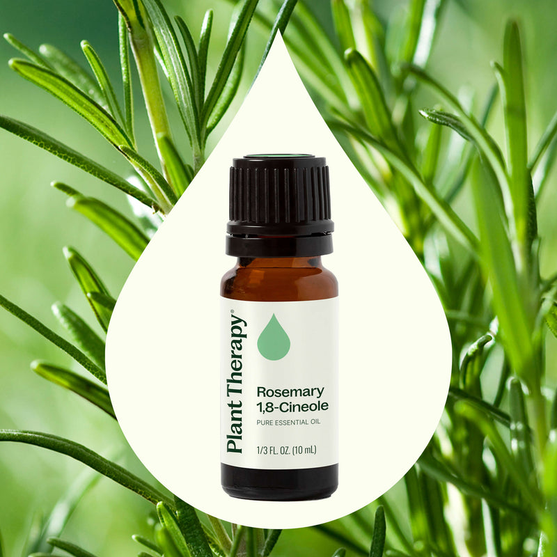 Plant Therapy Rosemary 1,8-Cineole Essential Oil Essential Oil Seashell 10mL,30 mL,100 mL