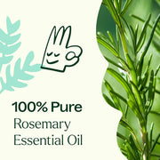 Plant Therapy Rosemary 1,8-Cineole Essential Oil Essential Oil Beige 10mL,30 mL,100 mL