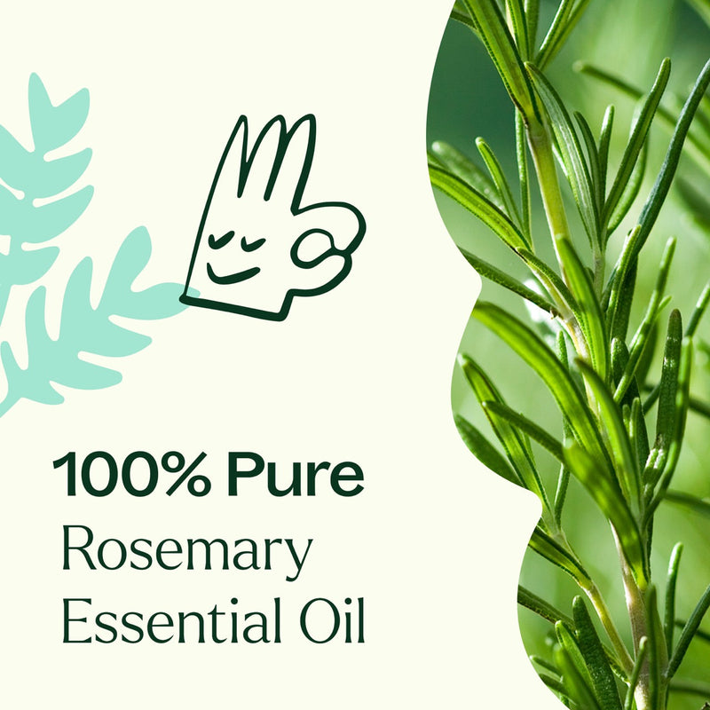Plant Therapy Rosemary 1,8-Cineole Essential Oil Essential Oil Beige 10mL,30 mL,100 mL