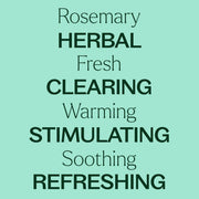 Plant Therapy Rosemary 1,8-Cineole Essential Oil Essential Oil Powder Blue 10mL,30 mL,100 mL