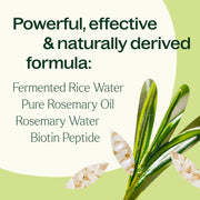 Plant Therapy Rosemary & Rice Water Daily Hair Growth Spray Hair & Skin Care Seashell 4 oz