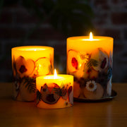 Rosy Rings Petite Botanical Candle - Spicy Apple Petite Botanical Candle Black