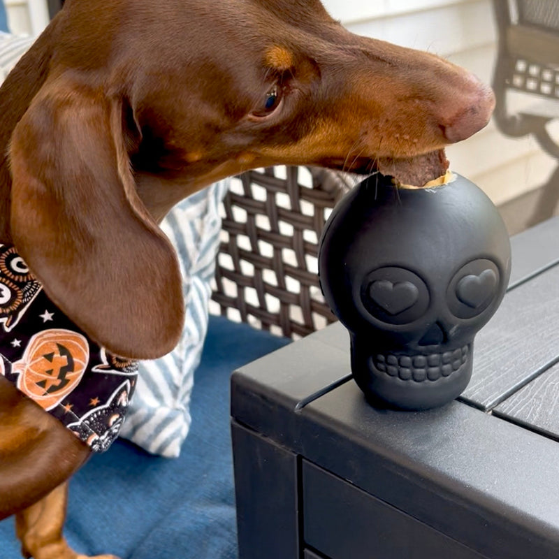 Farm To Pet Dog Treat Dispensers Treat Dispenser Dark Slate Gray Brown Football,Black Skull,Blue Ice Cream,Glow-In-The-Dark Ball,Glow-In-The-Dark Bone,Orange Flower Pot
