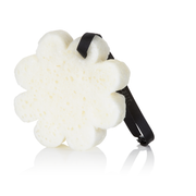 Spongellé Cherry Tonka Musk | Boxed Flower Body Wash Infused Buffer Lavender