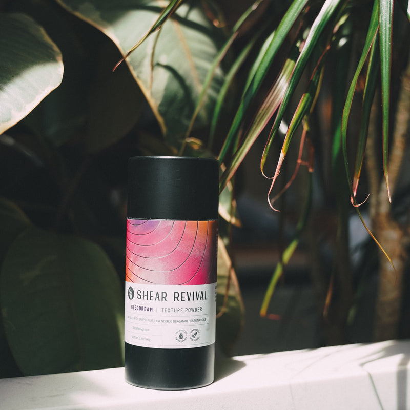 SHEAR REVIVAL Gleodream Dry Shampoo Powder Dark Slate Gray