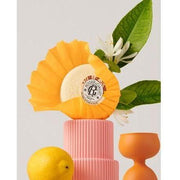 Roger & Gallet Roger & Gallet Bois D' Orange Wellbeing Soap 3.5 oz Wellbeing Soap Light Gray
