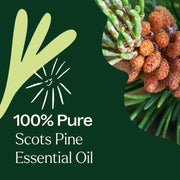 Plant Therapy Scots Pine Essential Oil Essential Oil Dark Green 10 mL,30 mL