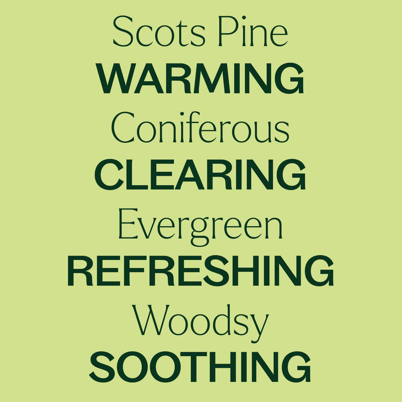 Plant Therapy Scots Pine Essential Oil Essential Oil Khaki 10 mL,30 mL