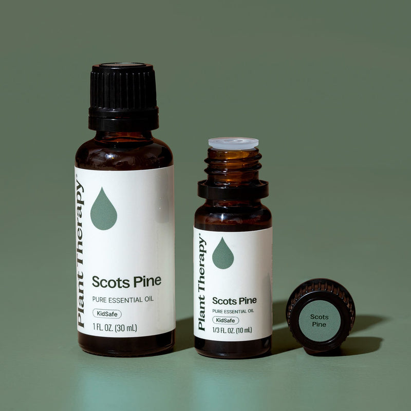 Plant Therapy Scots Pine Essential Oil Essential Oil Dim Gray 10 mL,30 mL