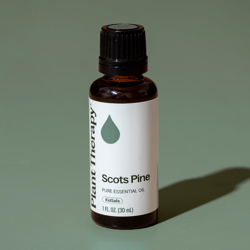 Plant Therapy Scots Pine Essential Oil Essential Oil Dim Gray 10 mL,30 mL
