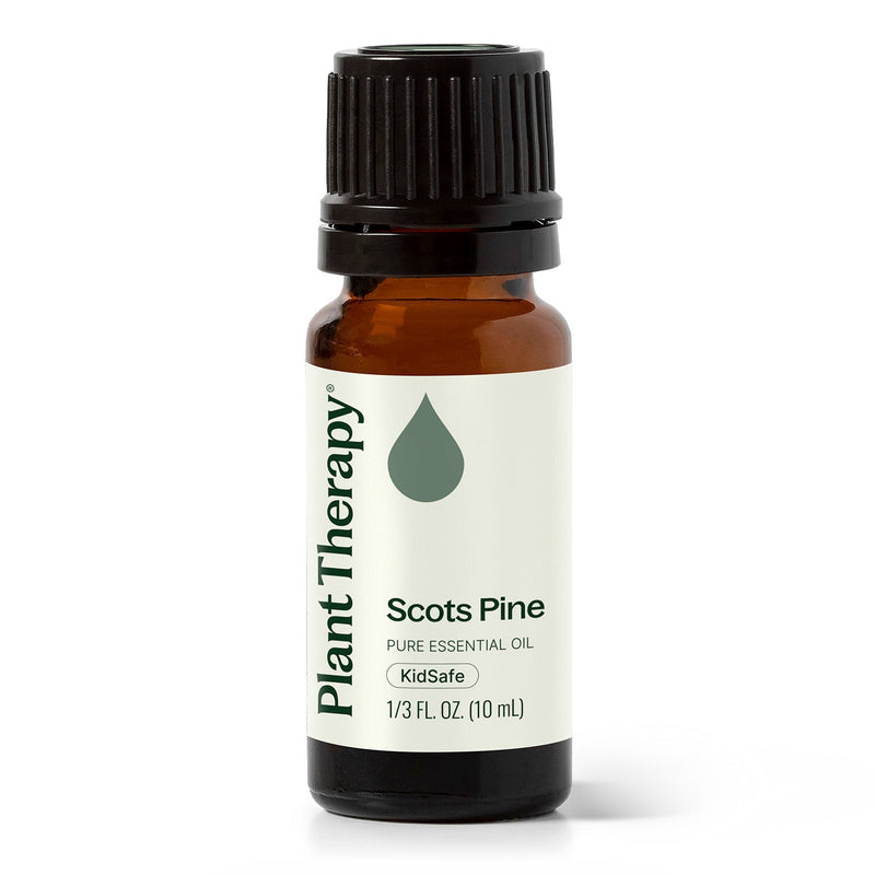 Plant Therapy Scots Pine Essential Oil Essential Oil White Smoke 10 mL