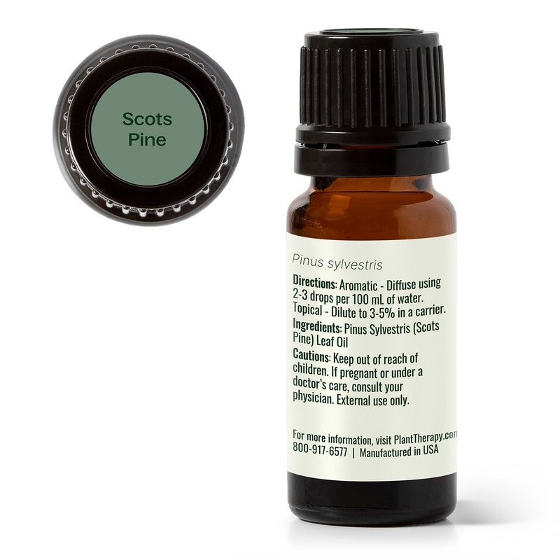 Plant Therapy Scots Pine Essential Oil Essential Oil White Smoke 10 mL,30 mL