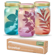 Modern Sprout Garden Jars - Organic Herbs Indoor Garden Kit White Smoke Basil+Rosemary+Parsley 3pk - Growbar