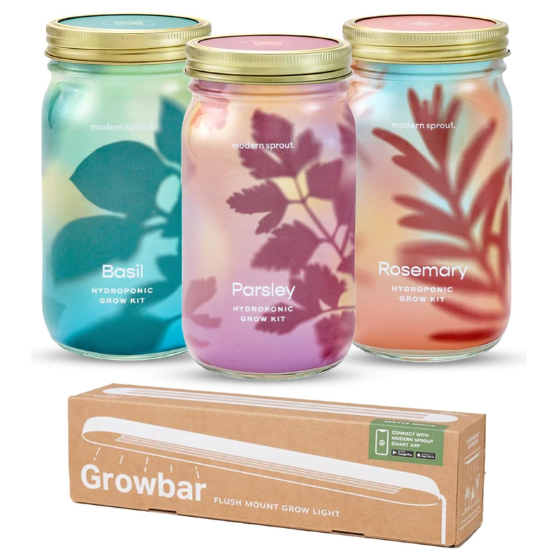 Modern Sprout Garden Jars - Organic Herbs Indoor Garden Kit White Smoke Basil+Rosemary+Parsley 3pk - Growbar