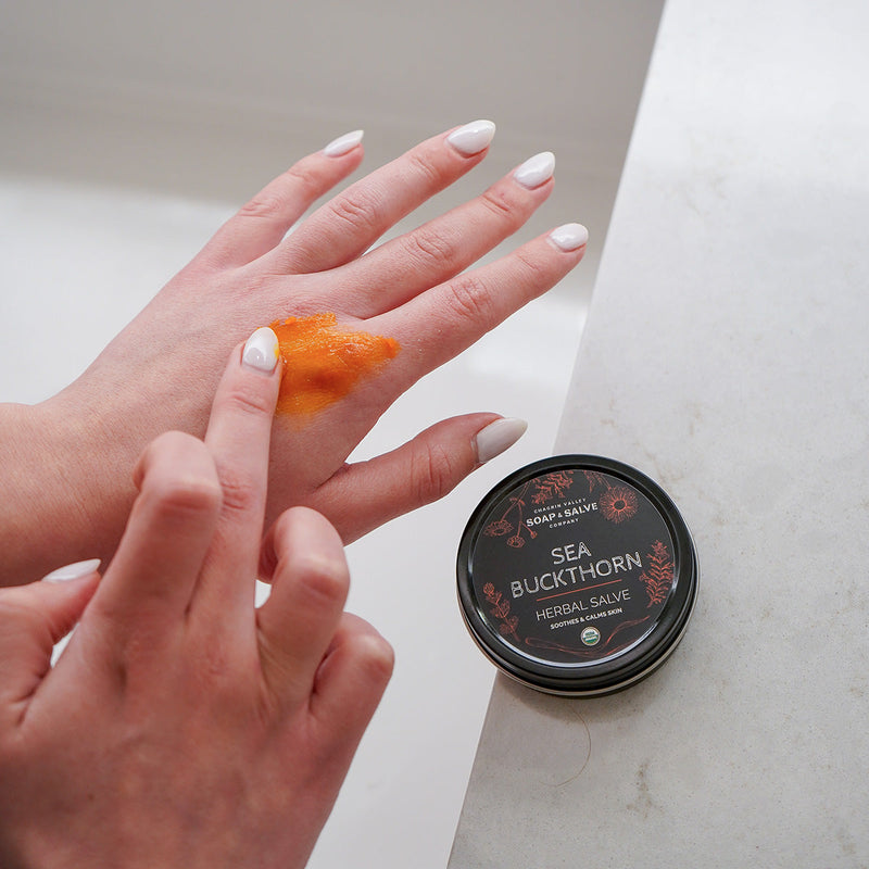 Chagrin Valley Soap & Salve Salve: Sea Buckthorn Healing Salve Dark Gray 2 fl oz Tin,1 fl oz Tin