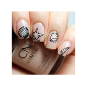 UberChic Beauty Seashells Aplenty Stamping Plate Gray