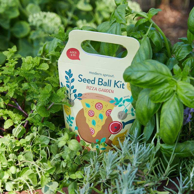 Modern Sprout Seed Ball Kits Playful Planting Dark Olive Green Pollinator Garden,Pizza Garden,Wild Habitat Garden,Rainbow Garden