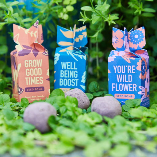Modern Sprout Seed Bomb Playful Planting Dark Sea Green You're Wild Flower,Well Being Boost,Grow Good Times