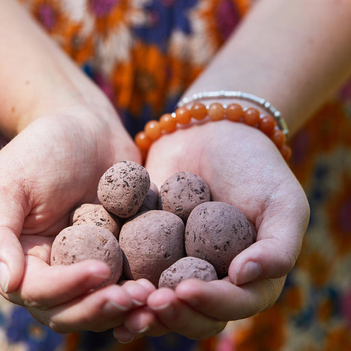Modern Sprout Bright Side Seed Balls Playful Planting Gray Grow Peace,Grow Comfort,Grow Love