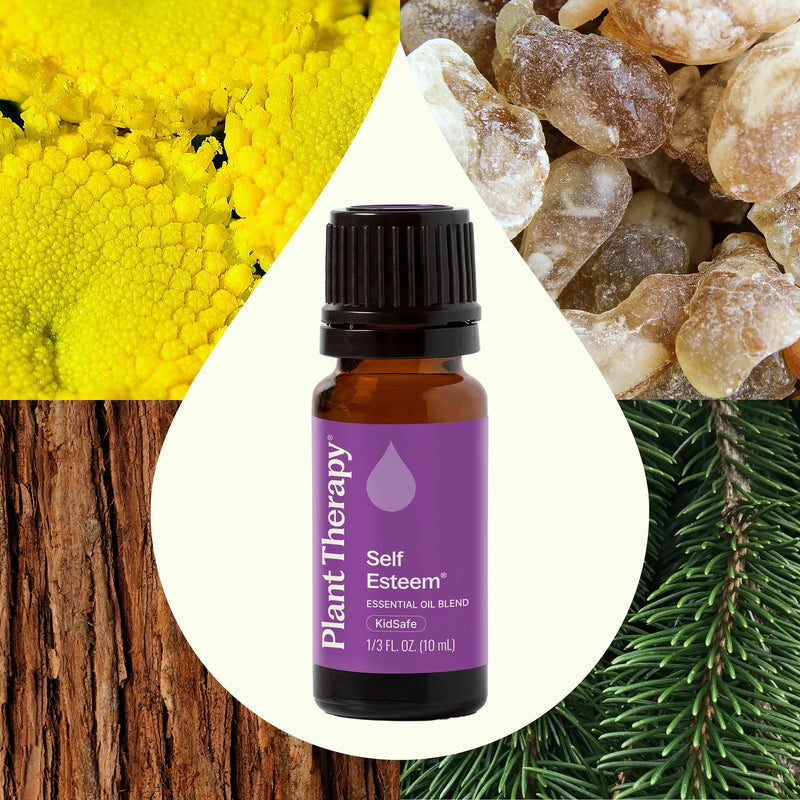 Plant Therapy Self Esteem Essential Oil Blend Essential Oil Seashell 10 mL,30 mL