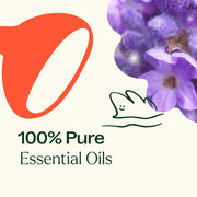 Plant Therapy Sensual Essential Oil Blend Essential Oil White Smoke 10 mL