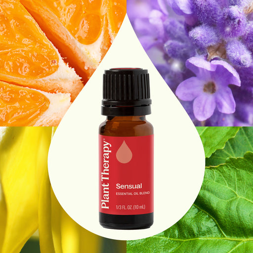 Plant Therapy Sensual Essential Oil Blend Essential Oil Seashell 10 mL