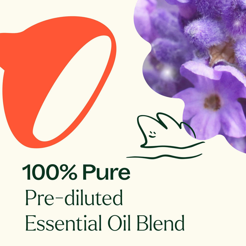 Plant Therapy Sensual Essential Oil Blend Pre-Diluted Roll-On Essential Oil White Smoke 10 mL